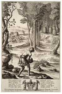 ミツバチ。状態1 作： Wenceslaus Hollar